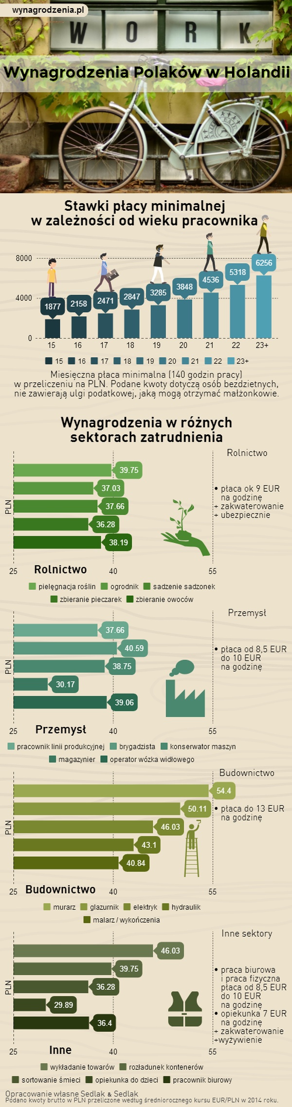 Infografika