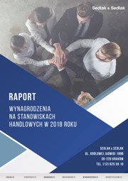 Wynagrodzenia na stanowiskach handlowych w 2018 roku